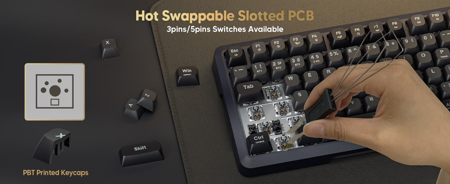 hot swappable switch