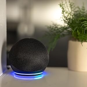 genie quietlift connect smart garage door opener works with Alexa using voice to control the door
