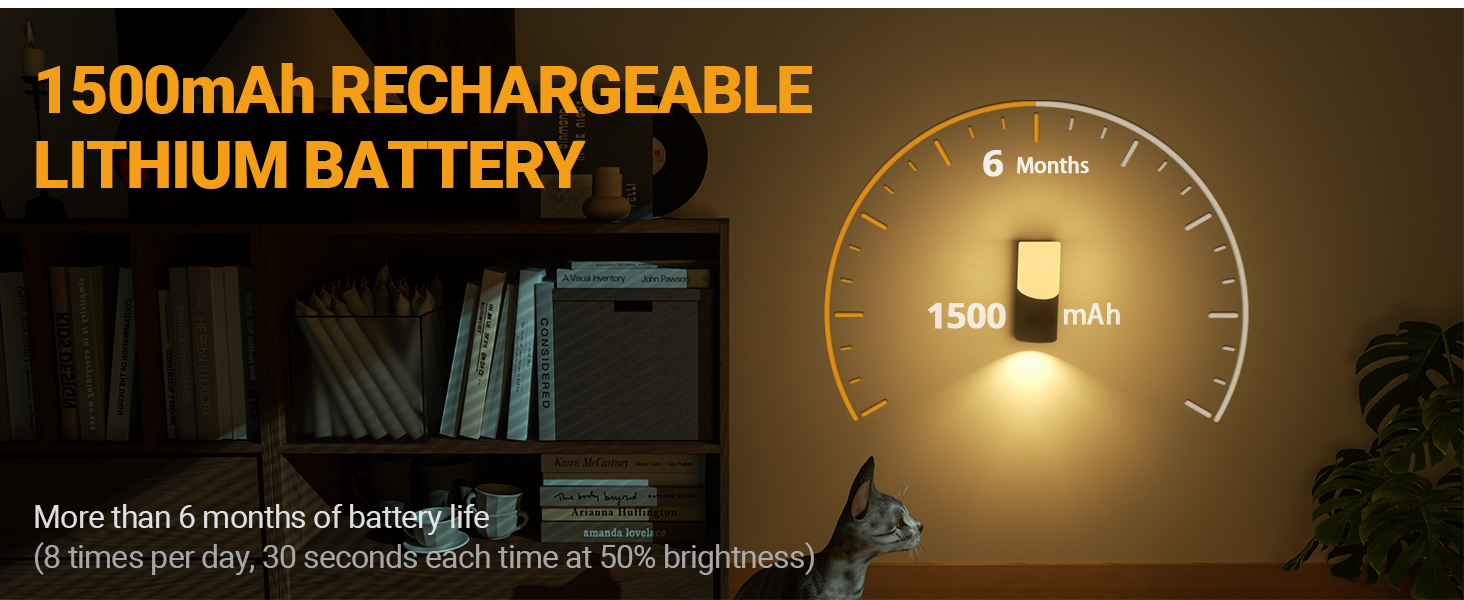 motion sensor night light