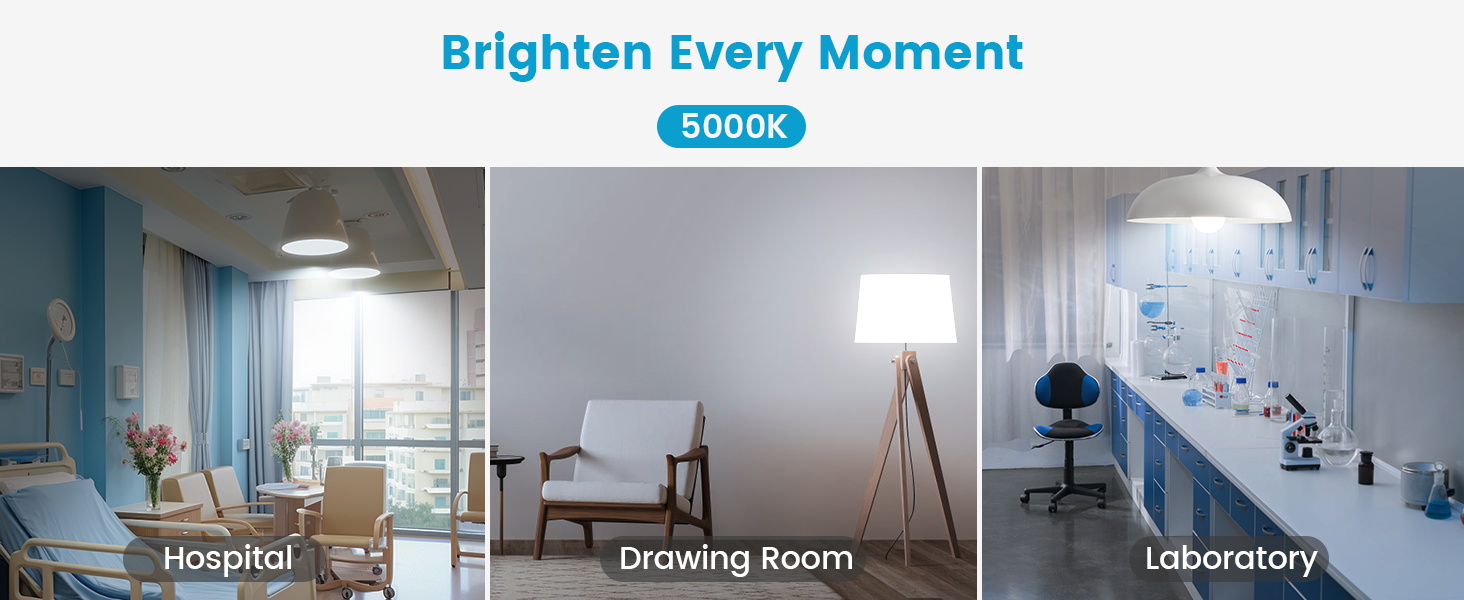 WOWLUMEN A19 LED BULBS 5000K