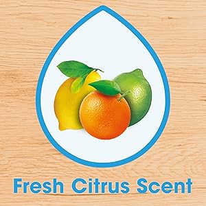 Fresh Citrus Scent