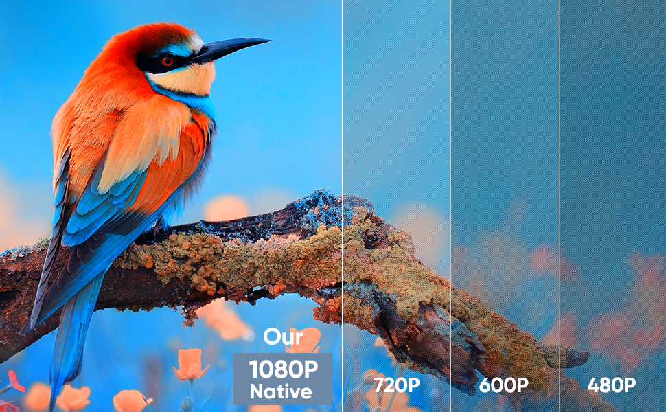 native 1080P projector