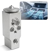Pniwuno Car A/C Expansion Valve, OEM 80213-TF0-G01 80211-TP5-H11 80221TZ3A41, Metallic Anti-Wear ...
