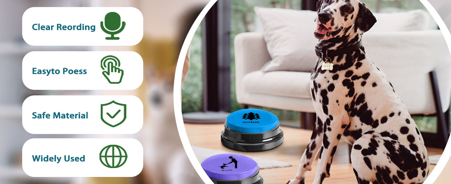 Recording Speaking Button