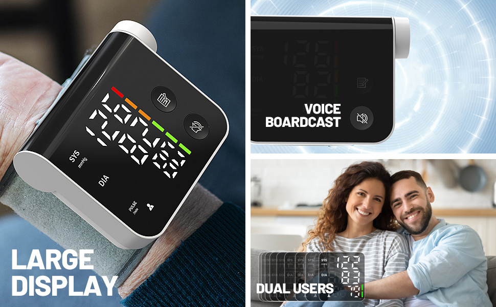 Voice, large display, dual users icons