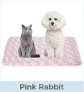 Pink Rabbit
