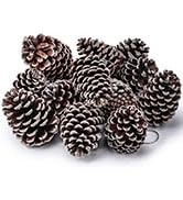 JOHOUSE 30PCS Black Roses, Artificial Flowers with Stems for Wedding Bouquets Party and Gothic De...