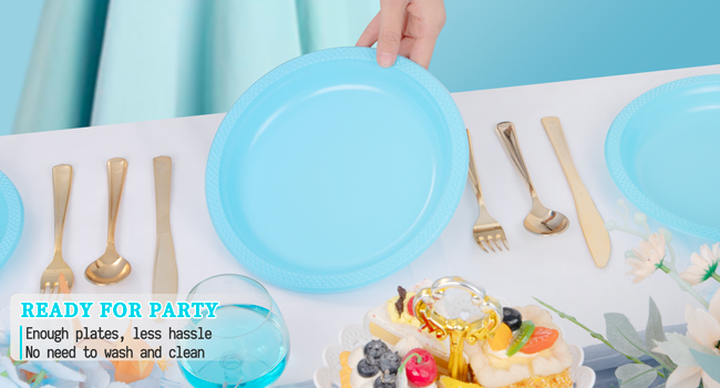 light blue party plates