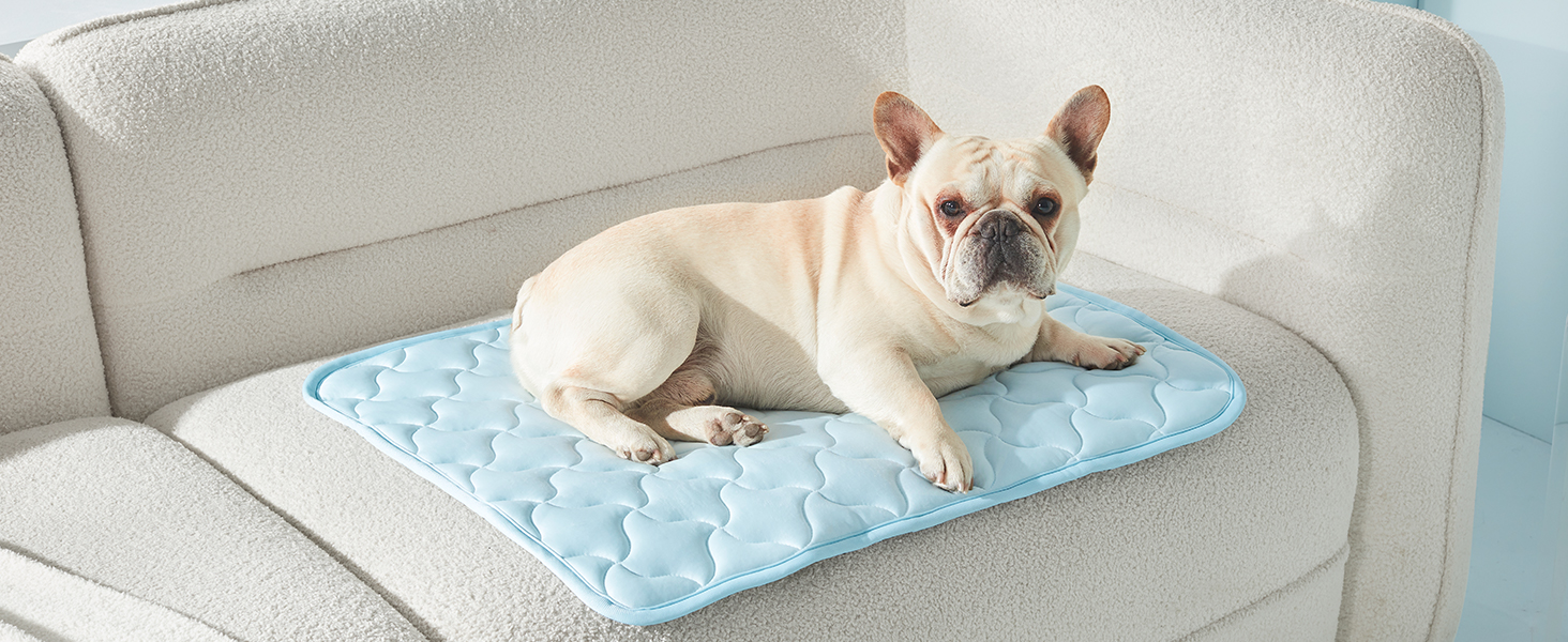 cooling pad for dogs