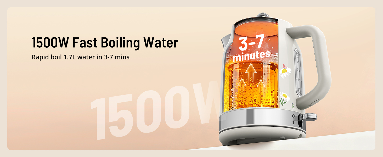 electric kettle