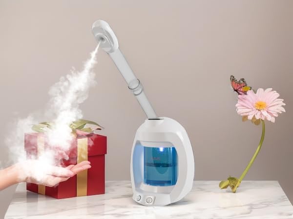 face steamer