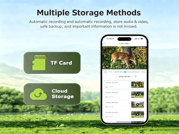 DUAL STORAGE OPTIONS FOR RELIABLE RECORDING