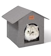 Cat House
