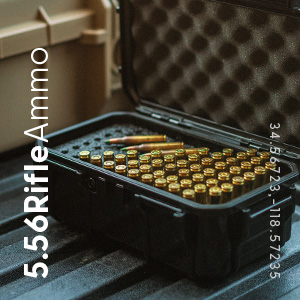 Ammo Case Rifle Ammo