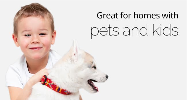 great for homes with pets and kids