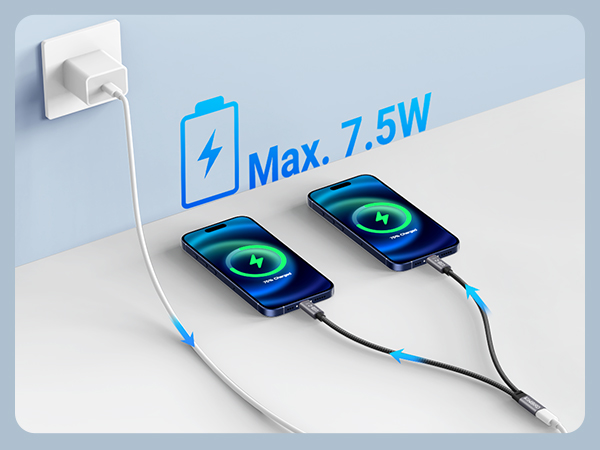 USB C Splitter 1 Female to 2 Male