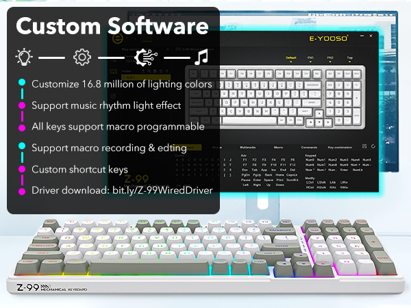 software