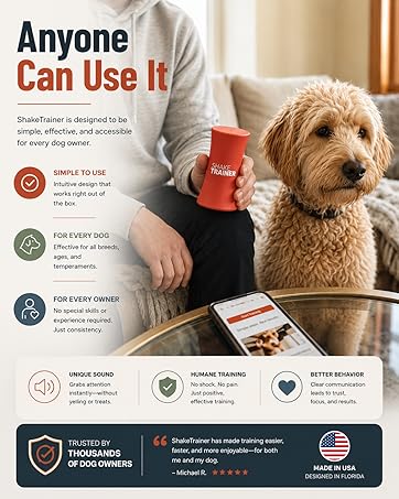 Anyone Can Use It