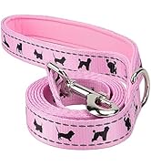 EcoBark Dog Leash - 4 FT / 5 FT / 6 FT Reflective Dog Leash- Eco-Bright Dog Leashes with Padded H...
