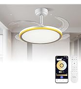BAYSQUIRREL Slim Retractable Ceiling Fan with Light and APP/Remote Control, 42inch Modern Smart C...