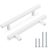 Probrico 10 Pack| 3-3/4