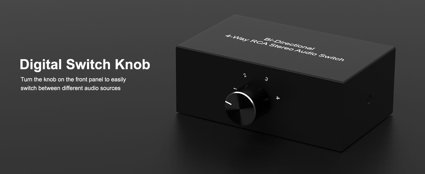 Audio Switch