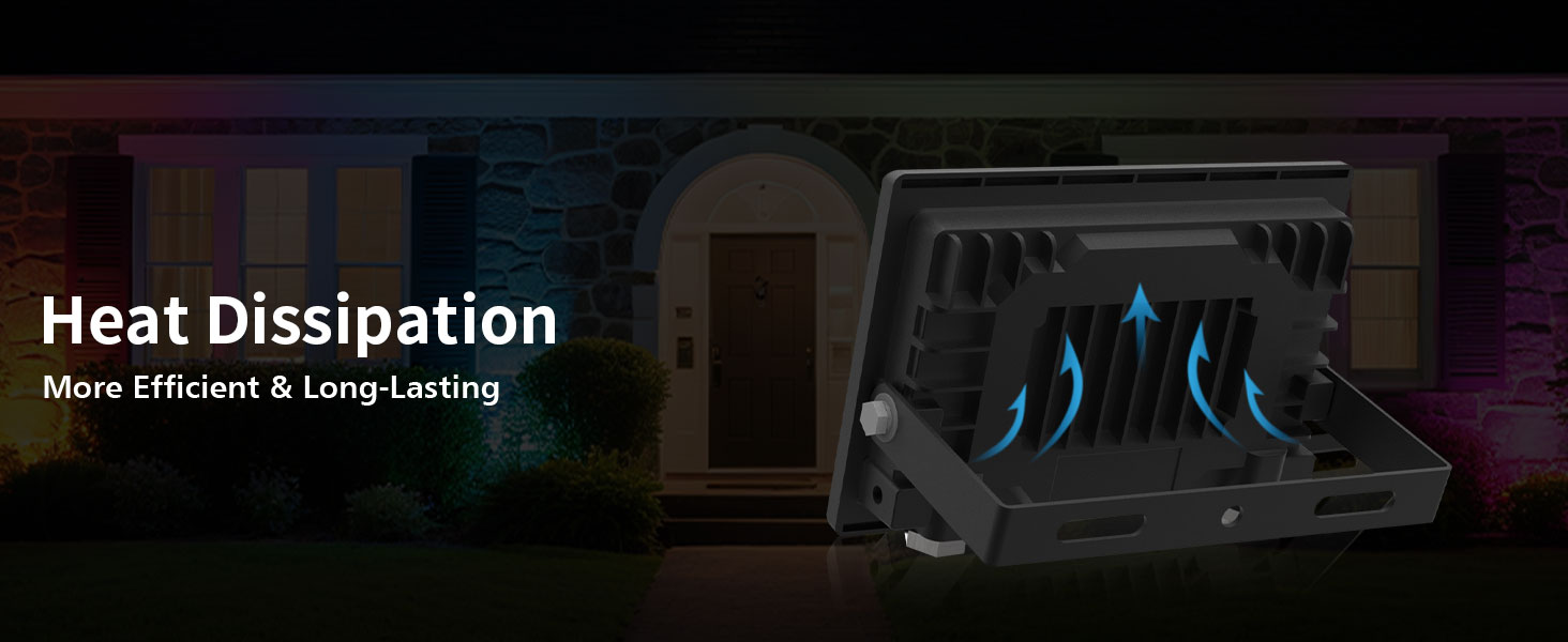 LED Flood Light