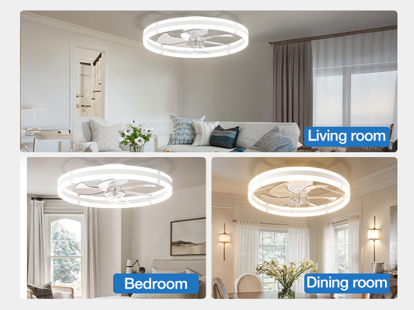 Ceiling fan