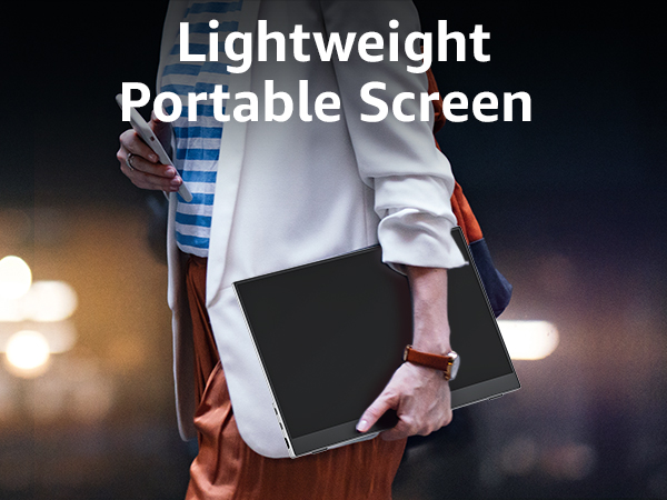 monitor portable