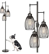 68’’ Dimmable Floor Lamp, 3 x 800LM LED Edison Bulbs Included, Industrial Floor Lamps for Living ...