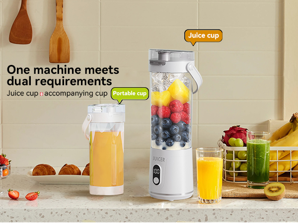 Portable Personal Electric USB Juicer