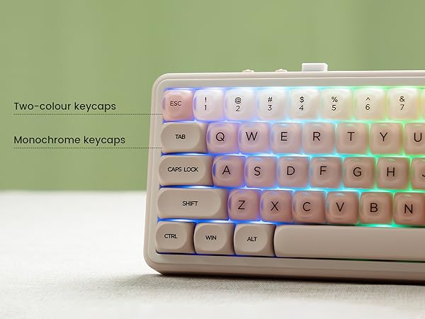 pbt keycaps