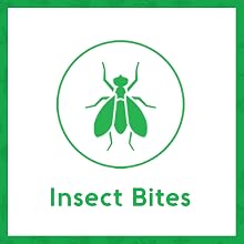 Sting Kill for bee stings, mosquito bites and bug bite first aid relief