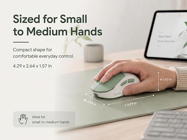 H6 Mouse