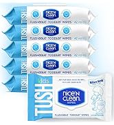 Nice 'N CLEAN Toddler Wipes 42ct (6-Pack) | 100% Plant-Based, Wet Wipes for Sensitive Skin | Grea...