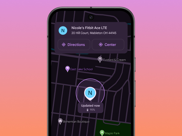 Fitbit Google Ace