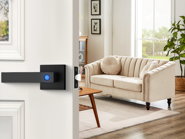 smart door handle