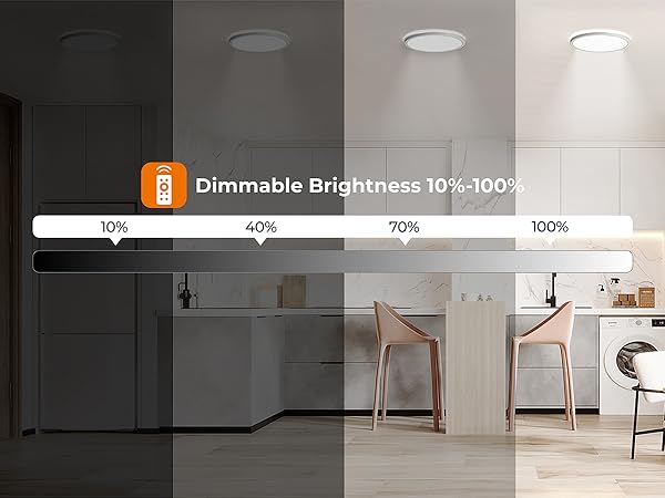 Motion Ceiling Light