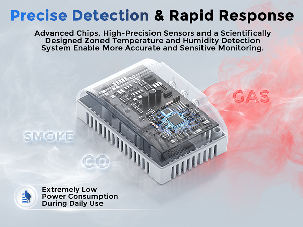 portable carbon monoxide detector