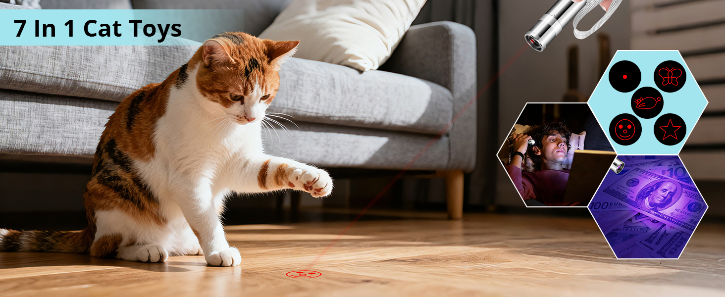 cat toys