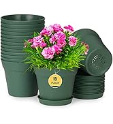 homenote Plant Pots,15 Pack 6 inch Flower Pots with Multiple Drainage Holes and Saucers,Plastic P...