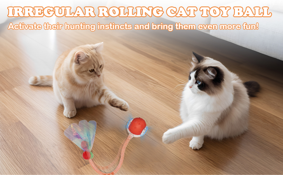 Tail Cat Toys for Bored Indoor Adult Cats