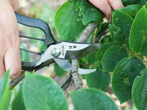 Japanese pruners garden pruning shears