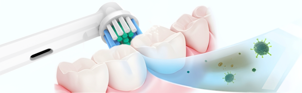 Replacement heads for oral b