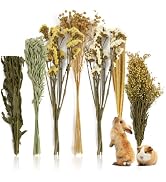 Sukh 47Pcs Natural Hamster Bedding - Flower Herb Sprays Enclosure Decor & Hideout Enriching Habit...