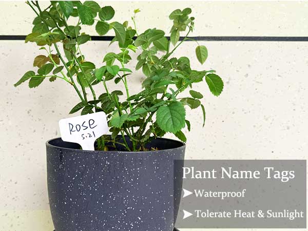 Plant Tag