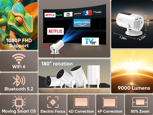 projector