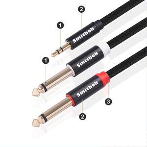 3.5mm male to dual 6.35mm male a+3