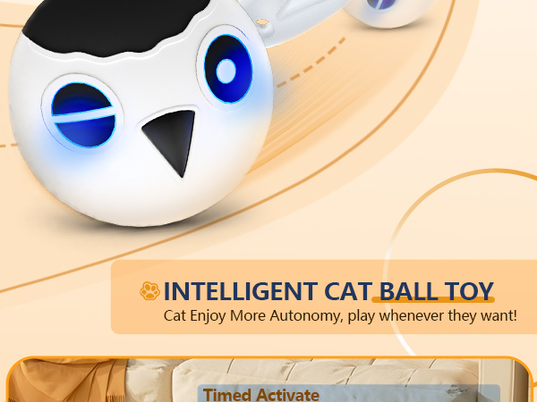 cat toy