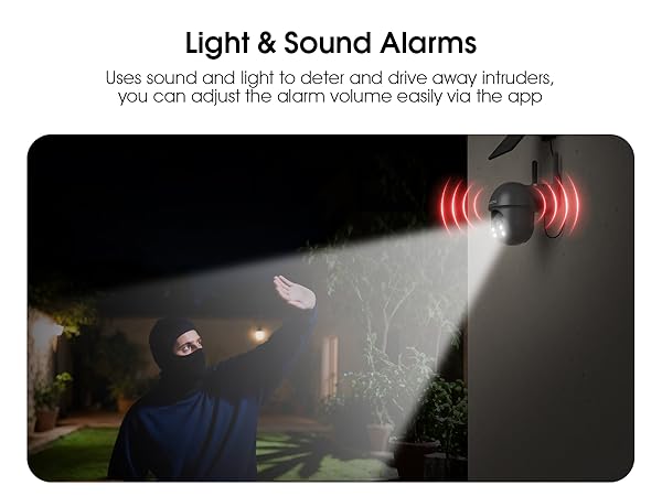 Light and Sound Alarms